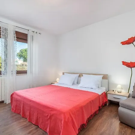 Spinotti Guest house *